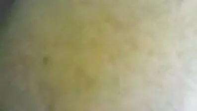 প্রকৃতির রাশিয়ান দম্পতি বাংলা রেপ সেক্স ভিডিও তাদের যৌন কৌতুক গুলি করার সিদ্ধান্ত নিয়েছে