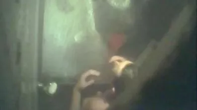 বড় boobs সঙ্গে লাল মাথা ট্রিপল এক্স ভিডিও সেক্স সৌন্দর্য তার প্রেমিক এর মোরগ উপর লাফাতে প্রস্তুত